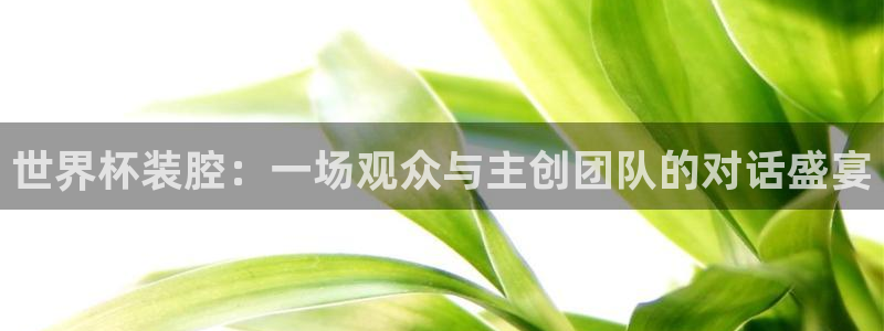 世界杯时间：世界杯装腔：一场观众与主创团队的对话盛宴