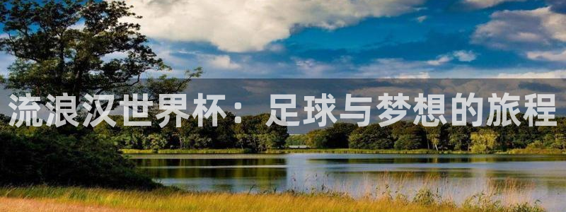 世界杯直播：流浪汉世界杯：足球与梦想的旅程
