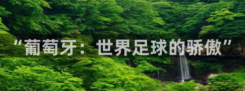 世界杯比赛直播：“葡萄牙：世界足球的骄傲”