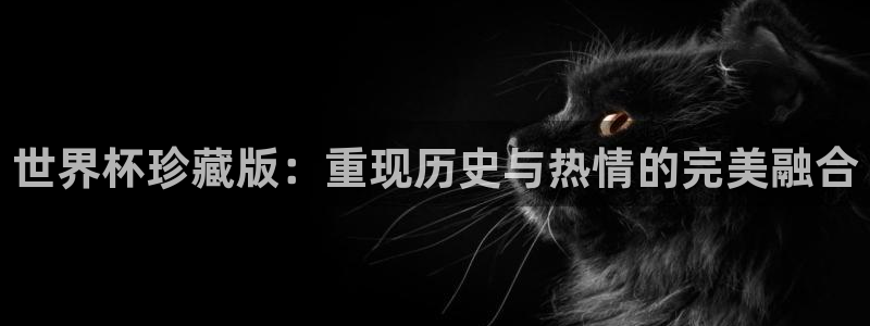 2026年世界杯赛程时间表格：世界杯珍藏版：重现历史与热情的完美融合