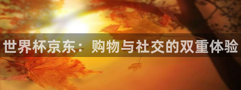 2026年世界杯赛程表时间：世界杯京东：购物与社交的双重体验