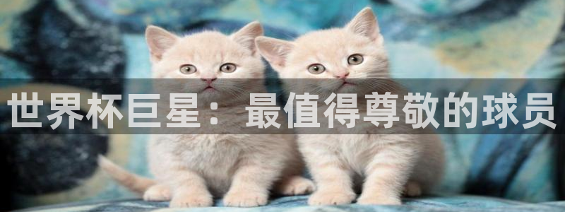 2026年男足世界杯：世界杯巨星：最值得尊敬的球员