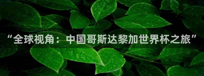 国际足联世界杯：“全球视角：中国哥斯达黎加世界杯之旅”