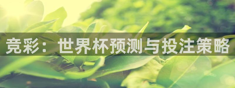 世界杯足球：竞彩：世界杯预测与投注策略
