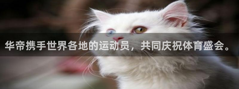 葡萄牙世界杯赛程：华帝携手世界各地的运动员，共同庆祝体育盛会。