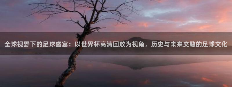 2026年世界杯：全球视野下的足球盛宴：以世界杯高清回放为视角，历史与未来交融的足球文化