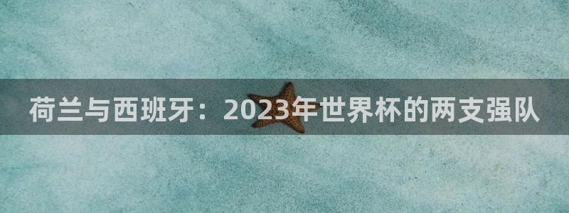 世界杯亚洲区预选赛积分榜：荷兰与西班牙：2023年世界杯的两支强队
