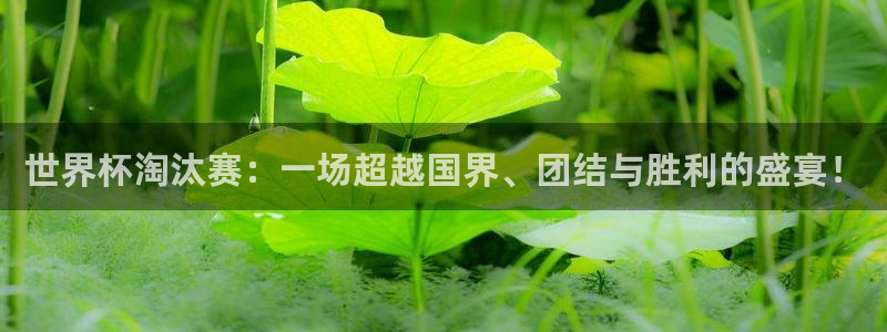 世界杯预选赛亚洲：世界杯淘汰赛：一场超越国界、团结与胜利的盛宴！