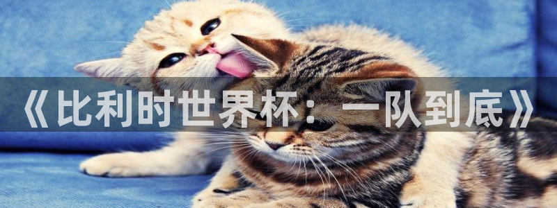 欧洲世界杯预选赛：《比利时世界杯：一队到底》