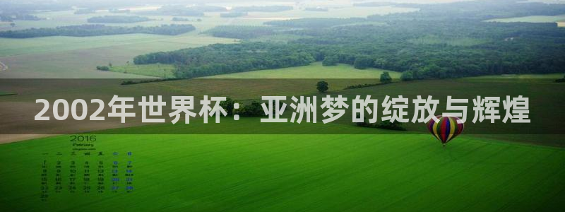 世界杯欧洲预选赛：2002年世界杯：亚洲梦的绽放与辉煌