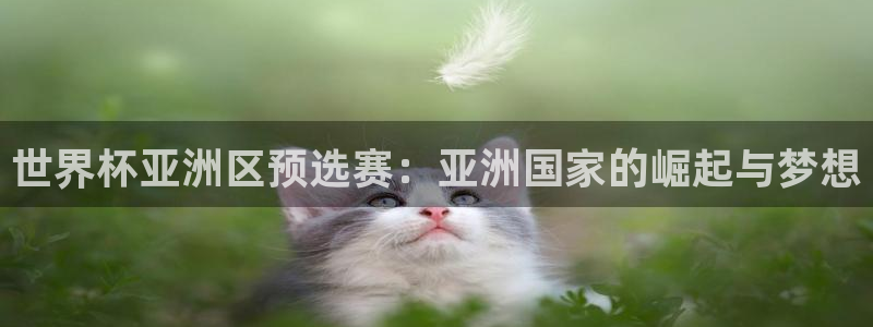 世界杯在线直播：世界杯亚洲区预选赛：亚洲国家的崛起与梦想