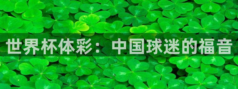 世界杯比赛直播：世界杯体彩：中国球迷的福音
