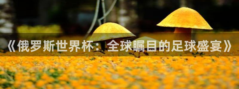 世界杯官网入口：《俄罗斯世界杯：全球瞩目的足球盛宴》