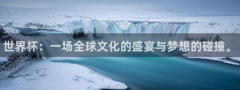足球世预赛：世界杯：一场全球文化的盛宴与梦想的碰撞。