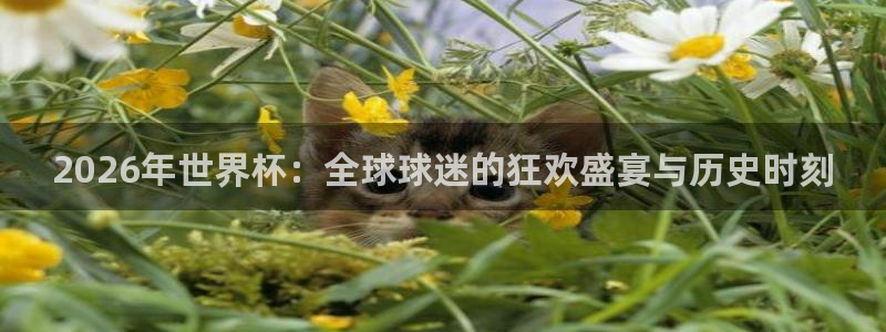 2026葡萄牙杯赛程表：2026年世界杯：全球球迷的狂欢盛宴与历史时刻