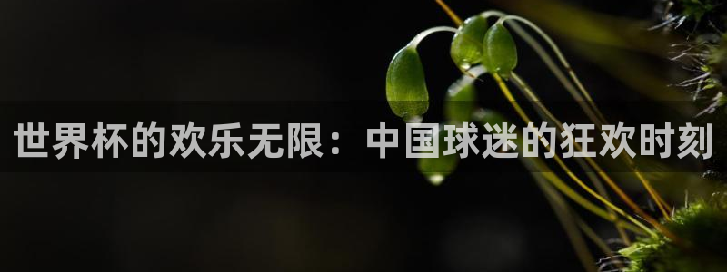 2026世界杯买球：世界杯的欢乐无限：中国球迷的狂欢时刻